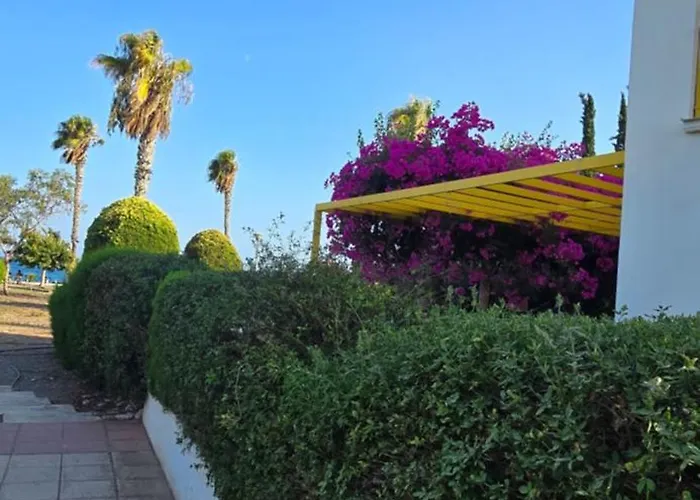 Barefoot House Feriehus Larnaca