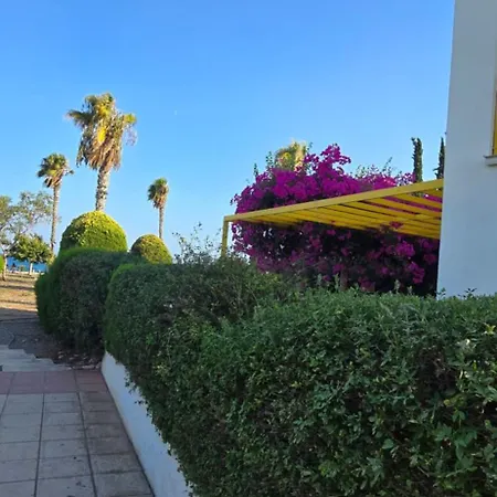 Barefoot House Hébergement de vacances Larnaca